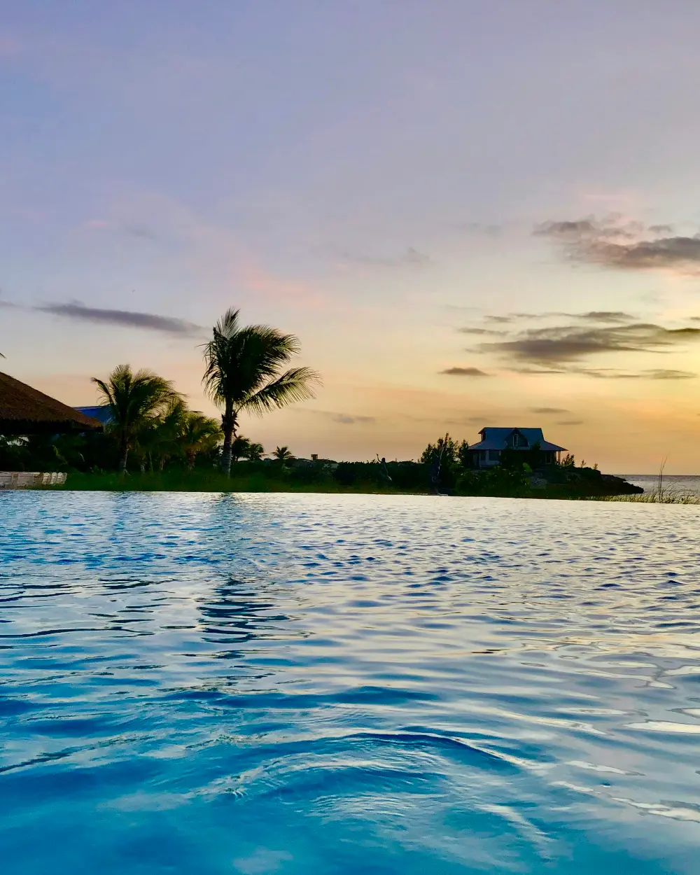 Piscina infinita al atardecer con palmeras al fondo